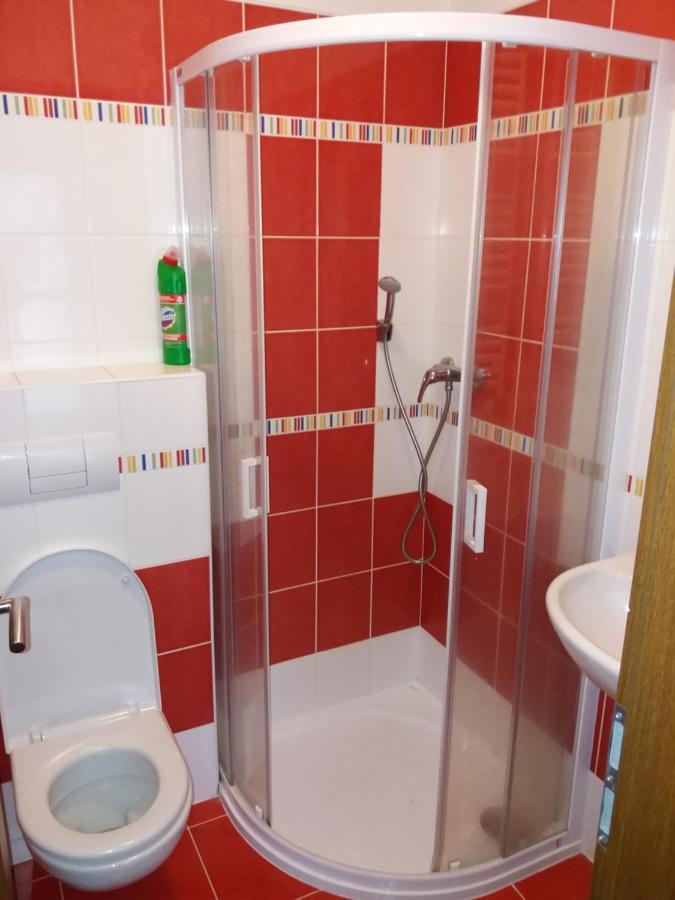 Apartmány Rohlík Lipno nad Vltavou Kültér fotó